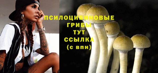 не бодяженный Новодвинск