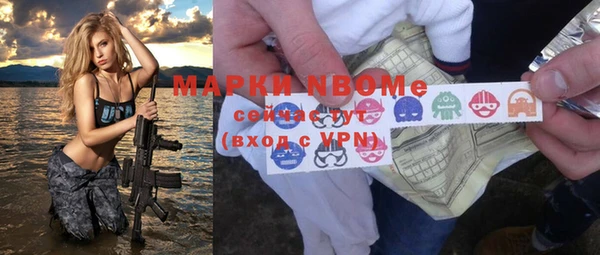 амф Новозыбков