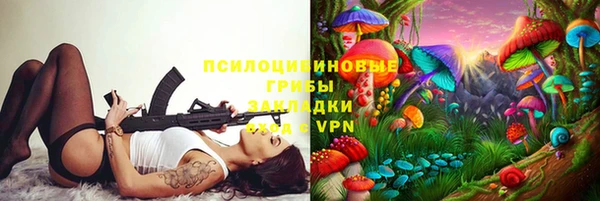 амф Новозыбков